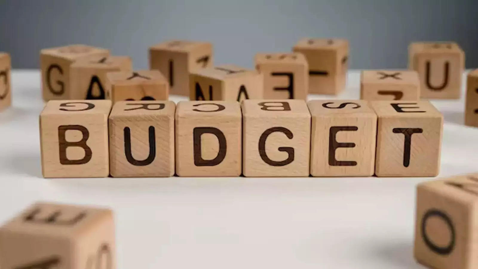 Budget 2024: What is a Populist Budget and why is it controversial? 