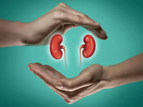 Gauhati Medical College Hospital successfully completes its first cadaver kidney transplant 