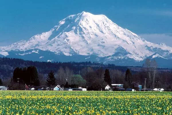 Mount Rainier volcano: Will there be major eruption? Why Volcanologists are worried about Washington peak? 