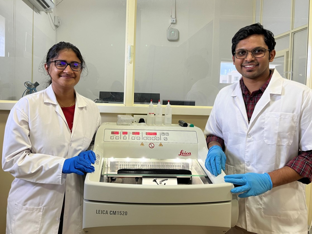 IISc researchers design novel 3D hydrogel culture to study TB infection and treatment 