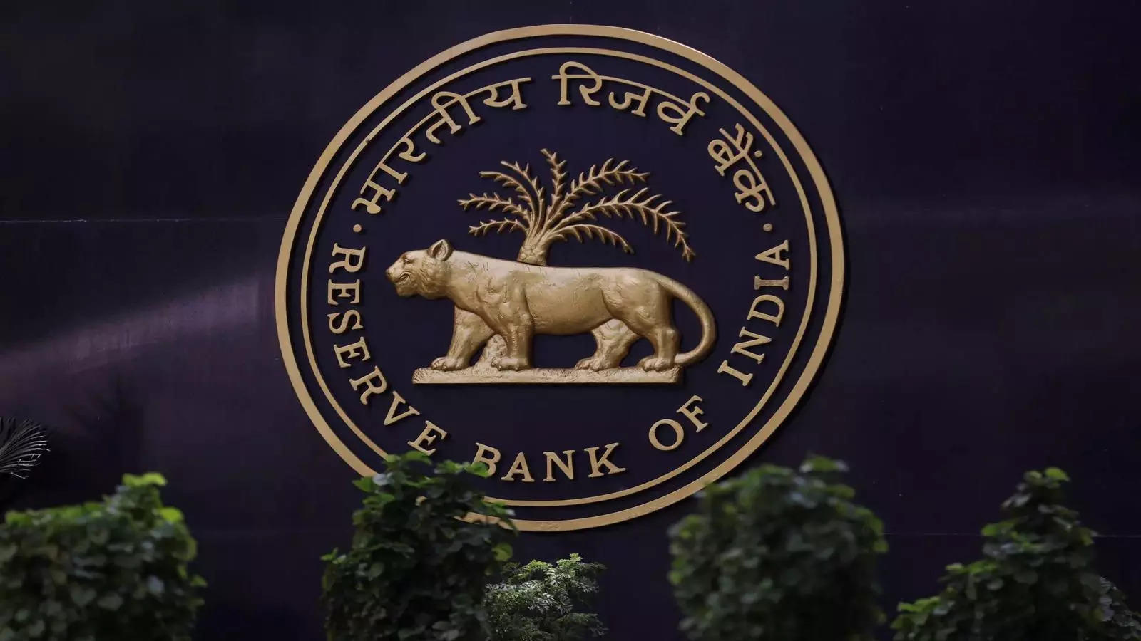 Fintech lenders have high delinquency levels in small value loans says RBI 