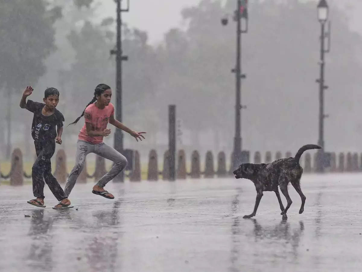Monsoon reaches Delhi, bringing relief from heatwave 