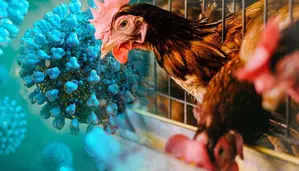 What is the H5N1 virus that is growingly rapidly? Here is everything you need to know 