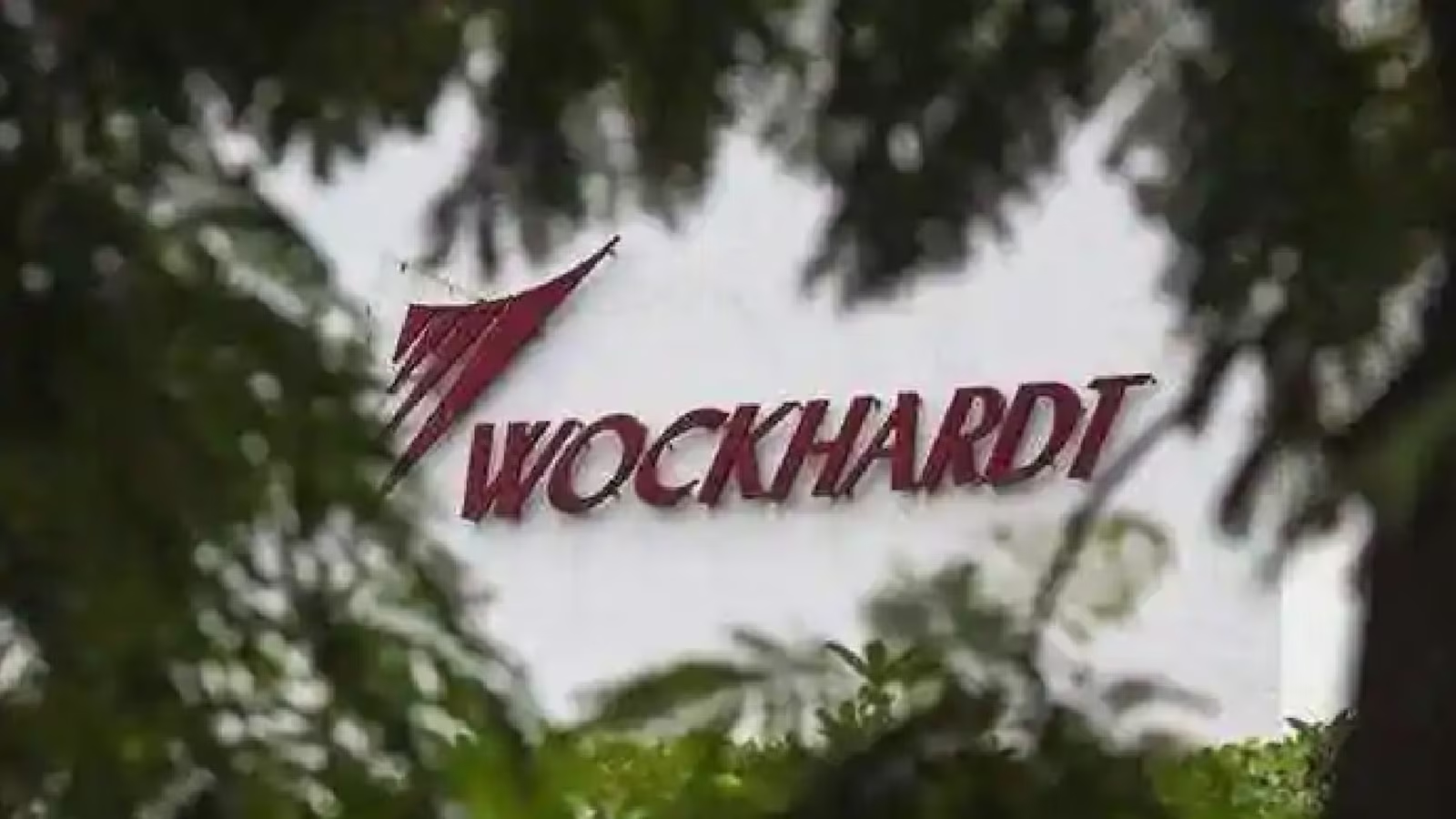 Wockhardt soars to 6-year high 