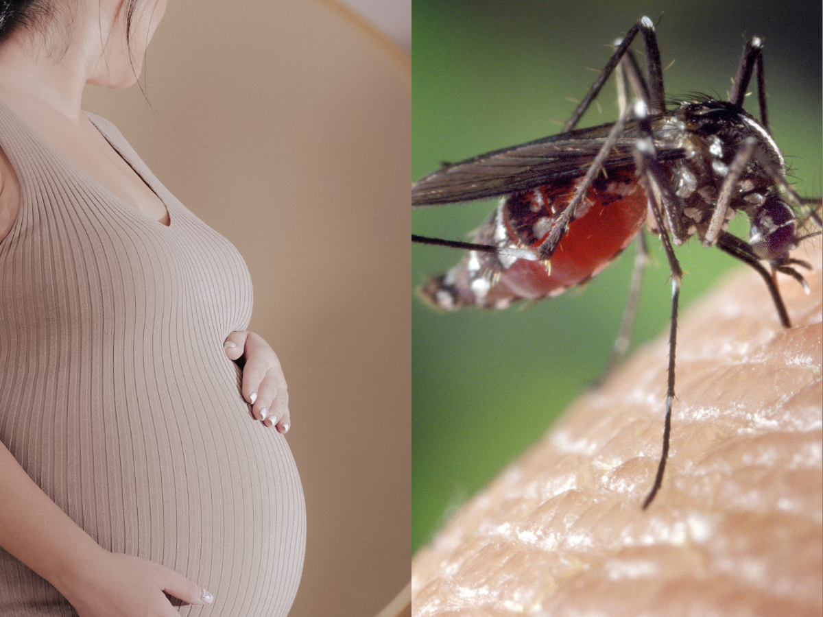 Zika virus cases in Maharashtra: Govt urges vigilance, focus on pregnant women screening 