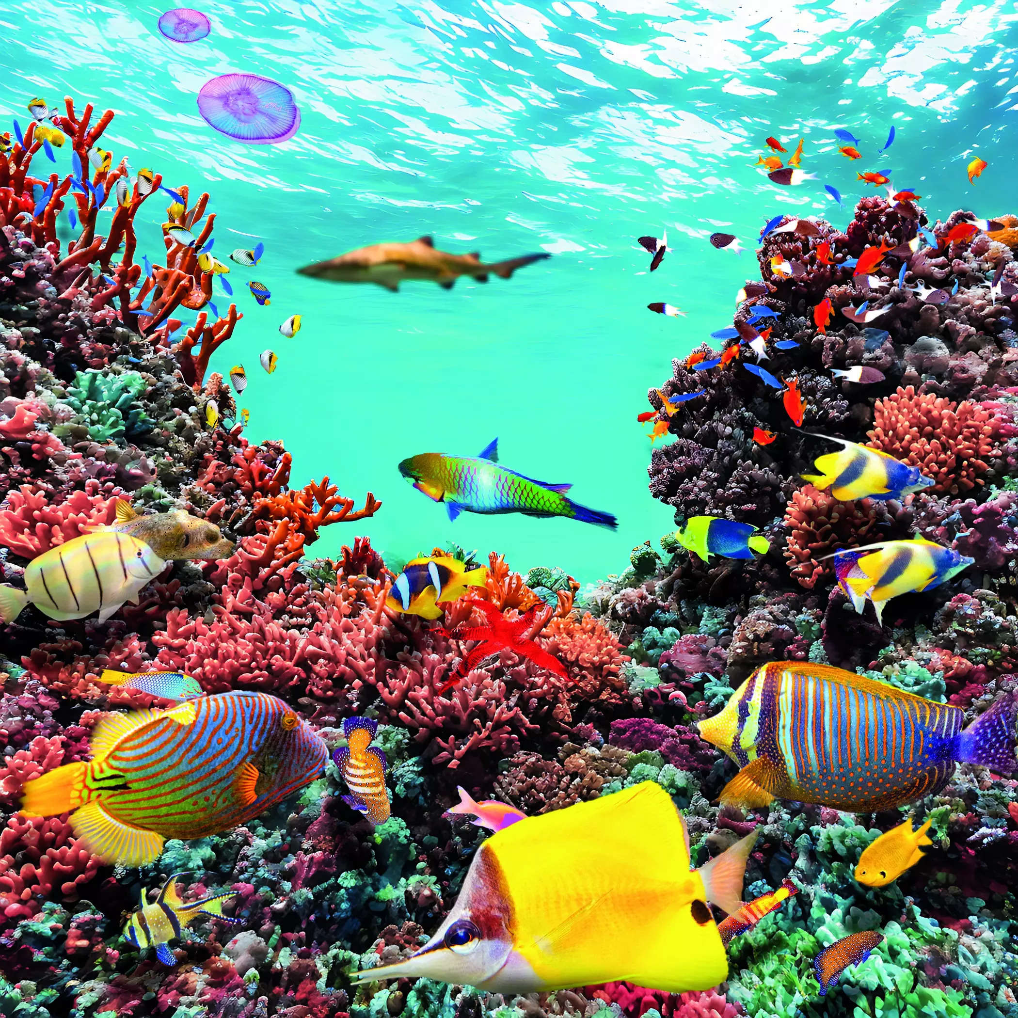 Into the Blue: India plans underwater research lab to explore marine life 