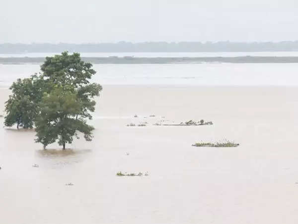 Assam flood situation grim, nearly 23 lakh people affected in 28 districts 