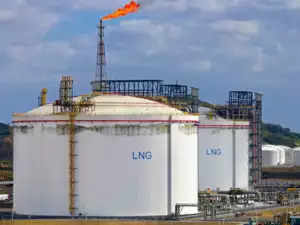 Vitol Asia and Bharat Petroleum among bidders for Sri Lanka LGP terminal 
