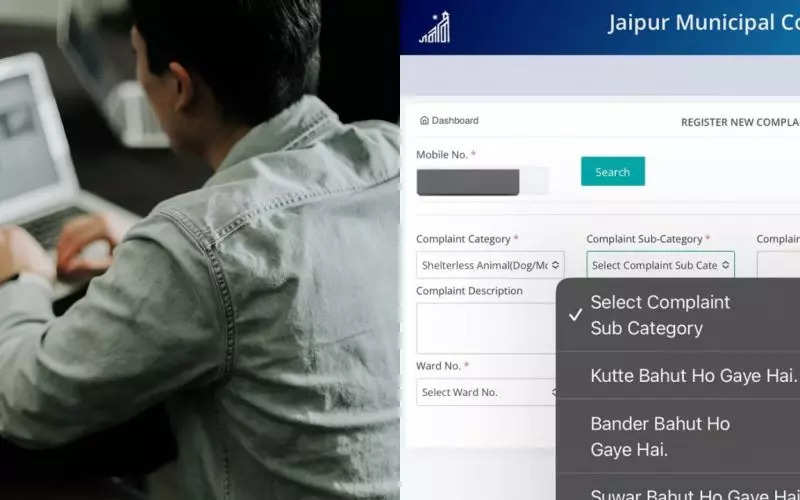 'Kutte bohot ho gaye hai': Jaipur Municipal Corporation offers 'hilarious' Hinglish options for complaint filing, goes viral 