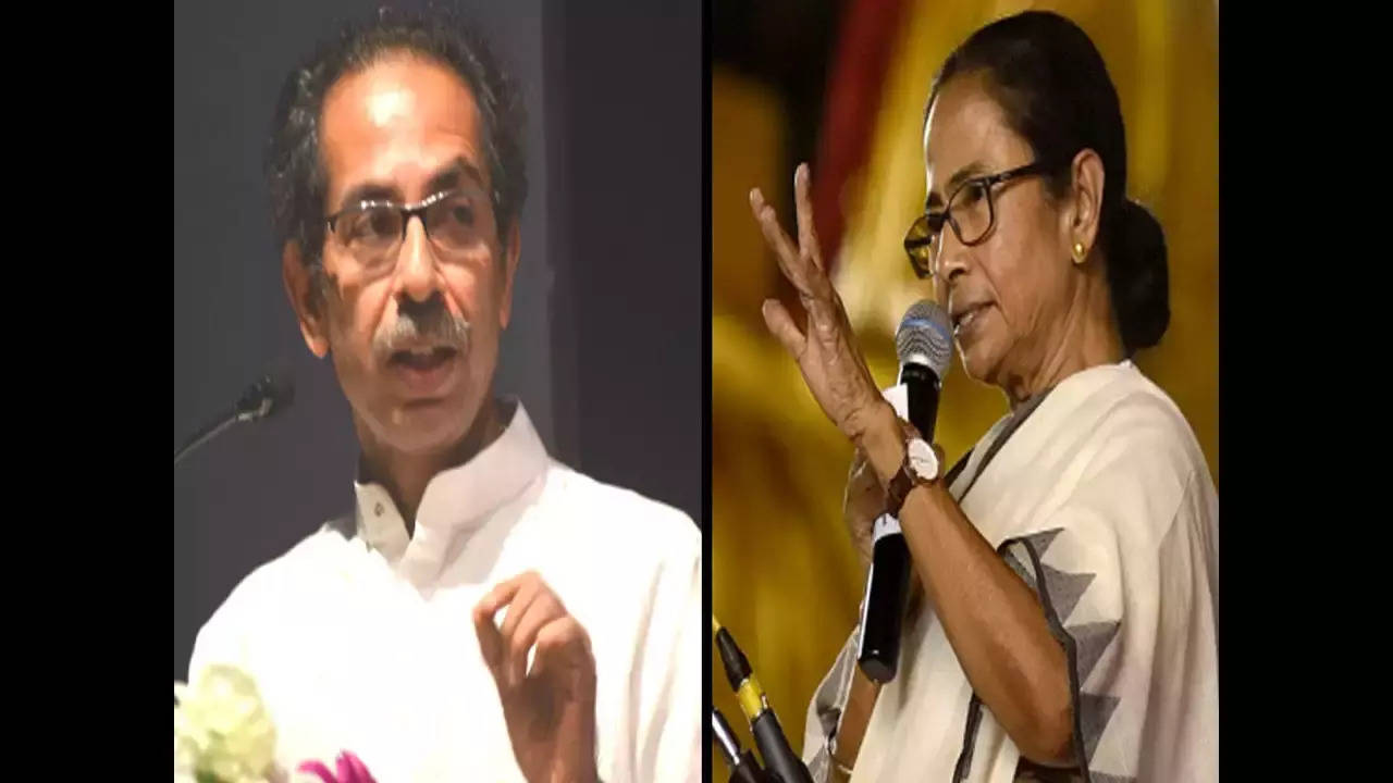 Mamata Banerjee meets Uddhav Thackeray, says NDA govt may not last 