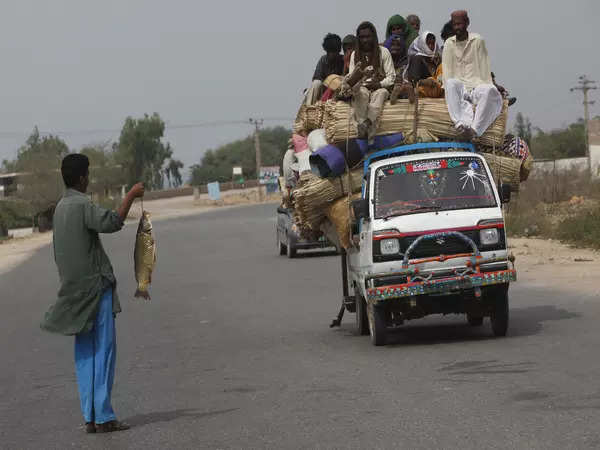 Pakistan's population projected to reach 400 million by 2092: UN Report 