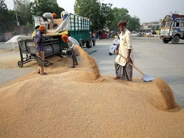 Pakistan imposes ban on wheat import, flour export 