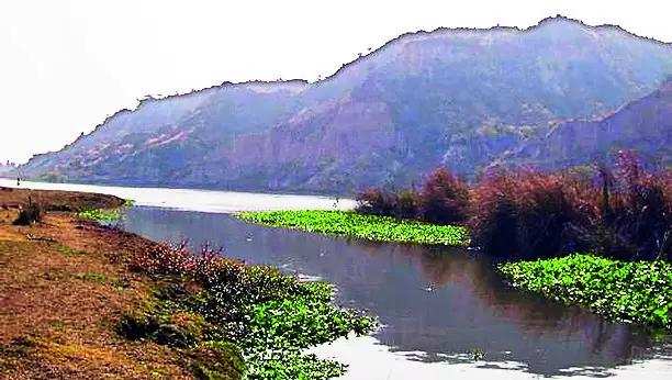 Construction of dams have turned Sutlej into rivulet: SC judge 