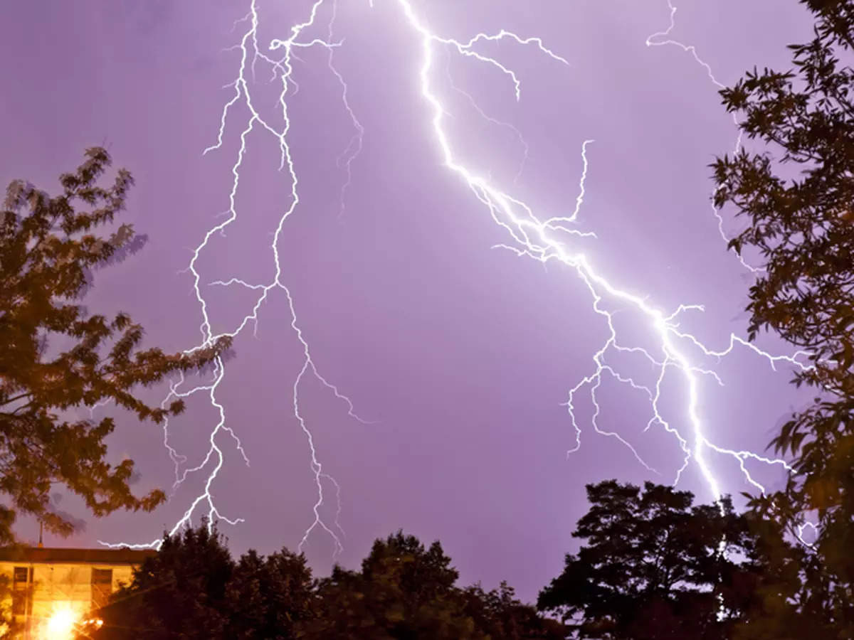 Climate change causing more frequent and deadly lightning strikes: Scientists 