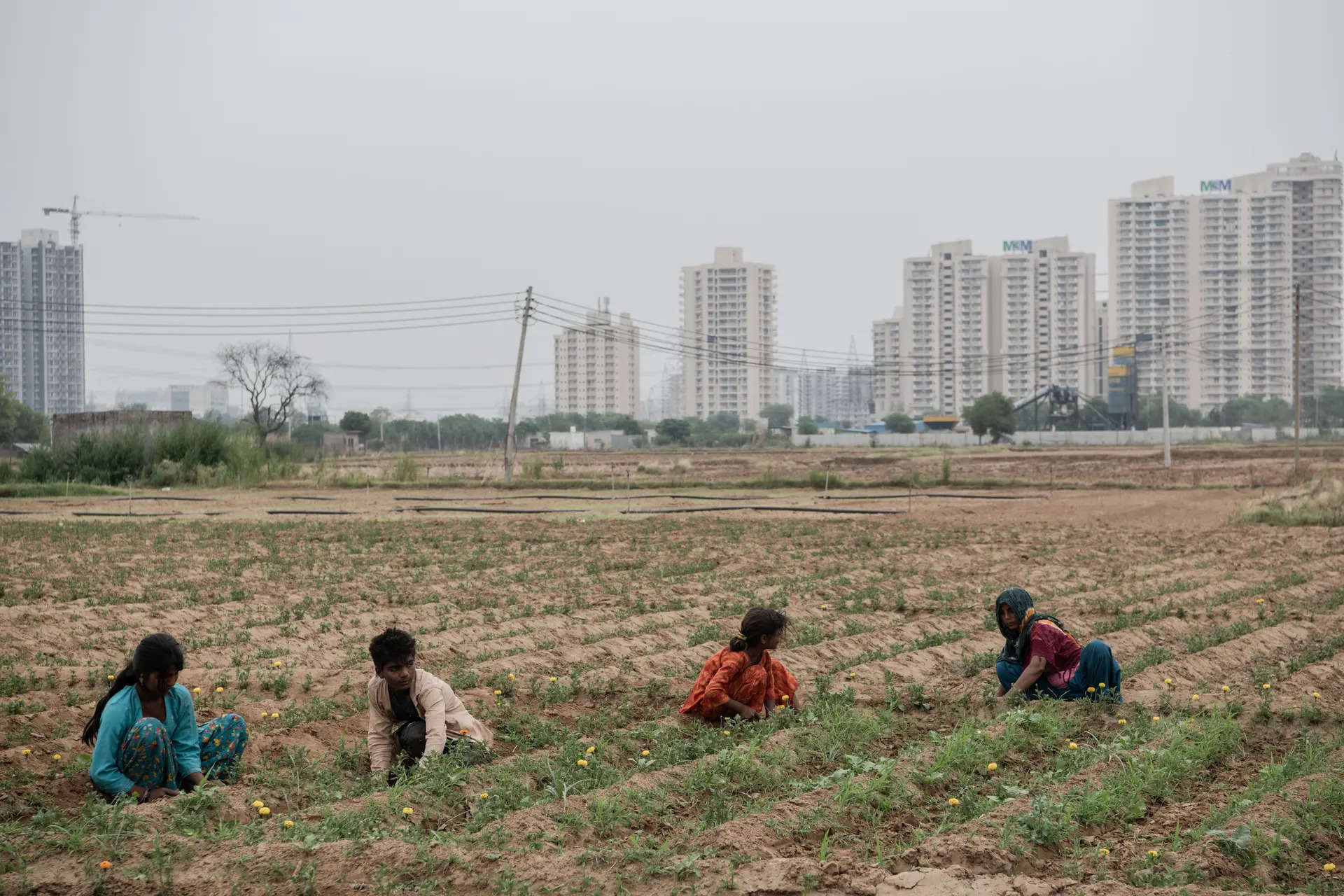 India's covid-year employment spike led by agriculture: RBI Data 