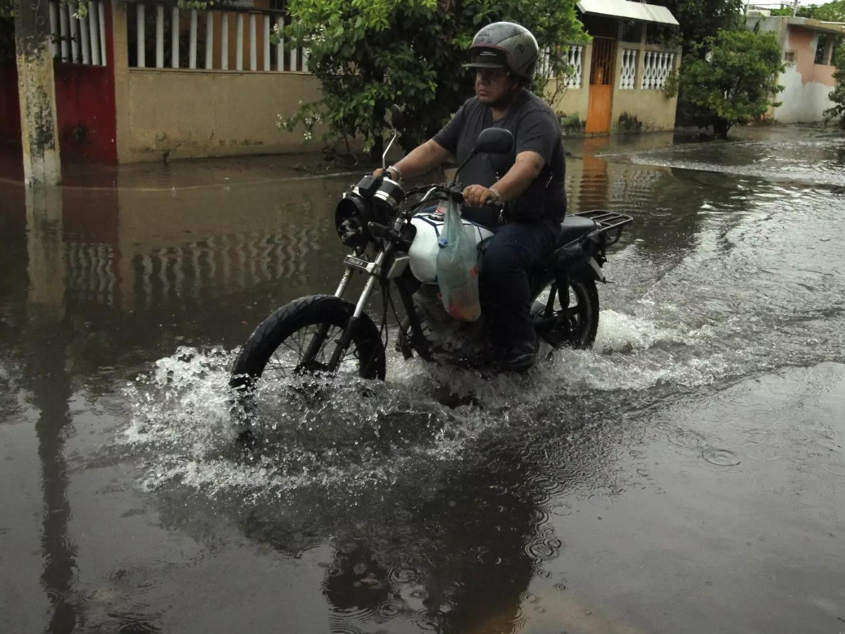 Monsoon to strengthen. IMD warns of extremely heavy rainfall in these states 