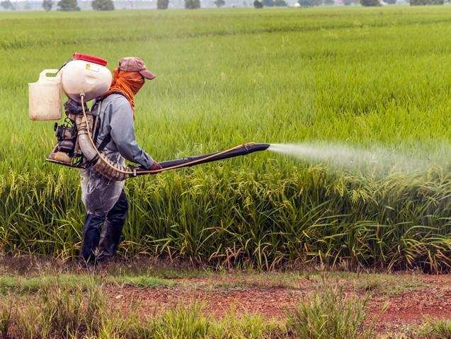 Proposal to increase customs duty to 20% on agrochemicals will hurt interests of farmers: Report 