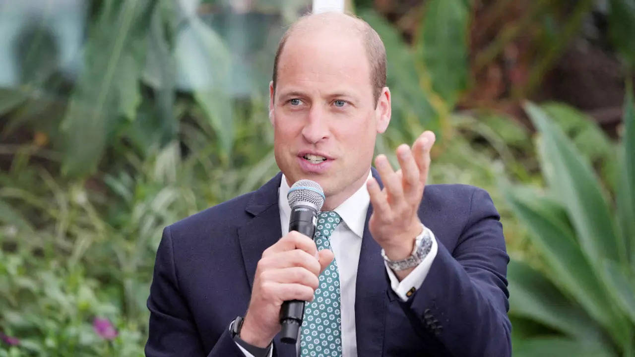 Prince William spotted throwing 'amusing insult' by lip-reader during Euro 2024 finals, all you need to know 