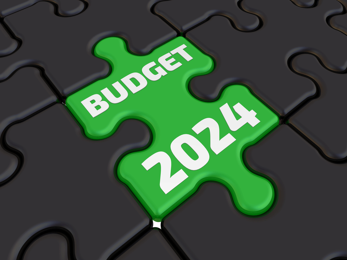 Budget 2024: 5 sectors and key stocks to watch out for 