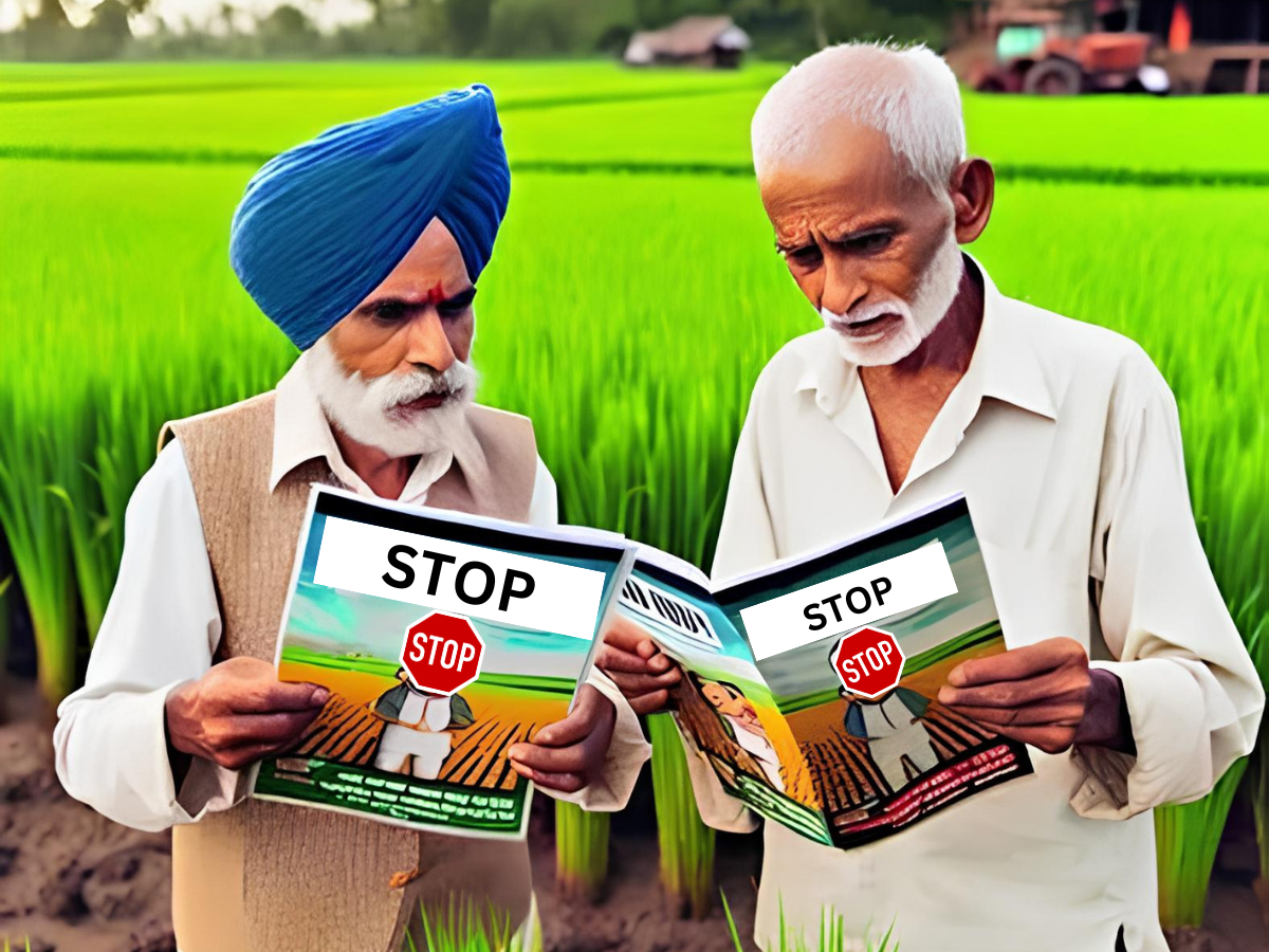 Pay farmers not to farm... paddy 