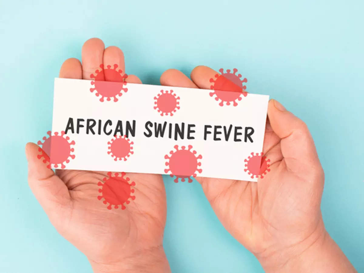 IIT Guwahati researchers discover RNA-destroying function of p30 protein in African swine fever virus 