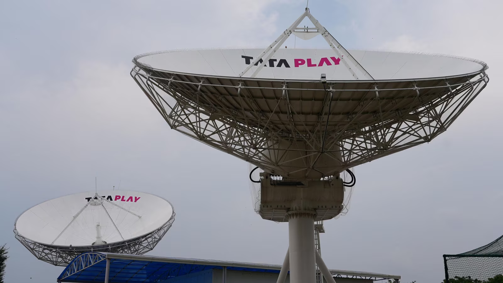 Tata Play FY24 results: Net loss widens to Rs 353.9 crore, revenue dips 4.3% 