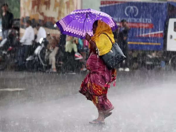 Be on high alert, CM tells officials as heavy rains lash Maharashtra 