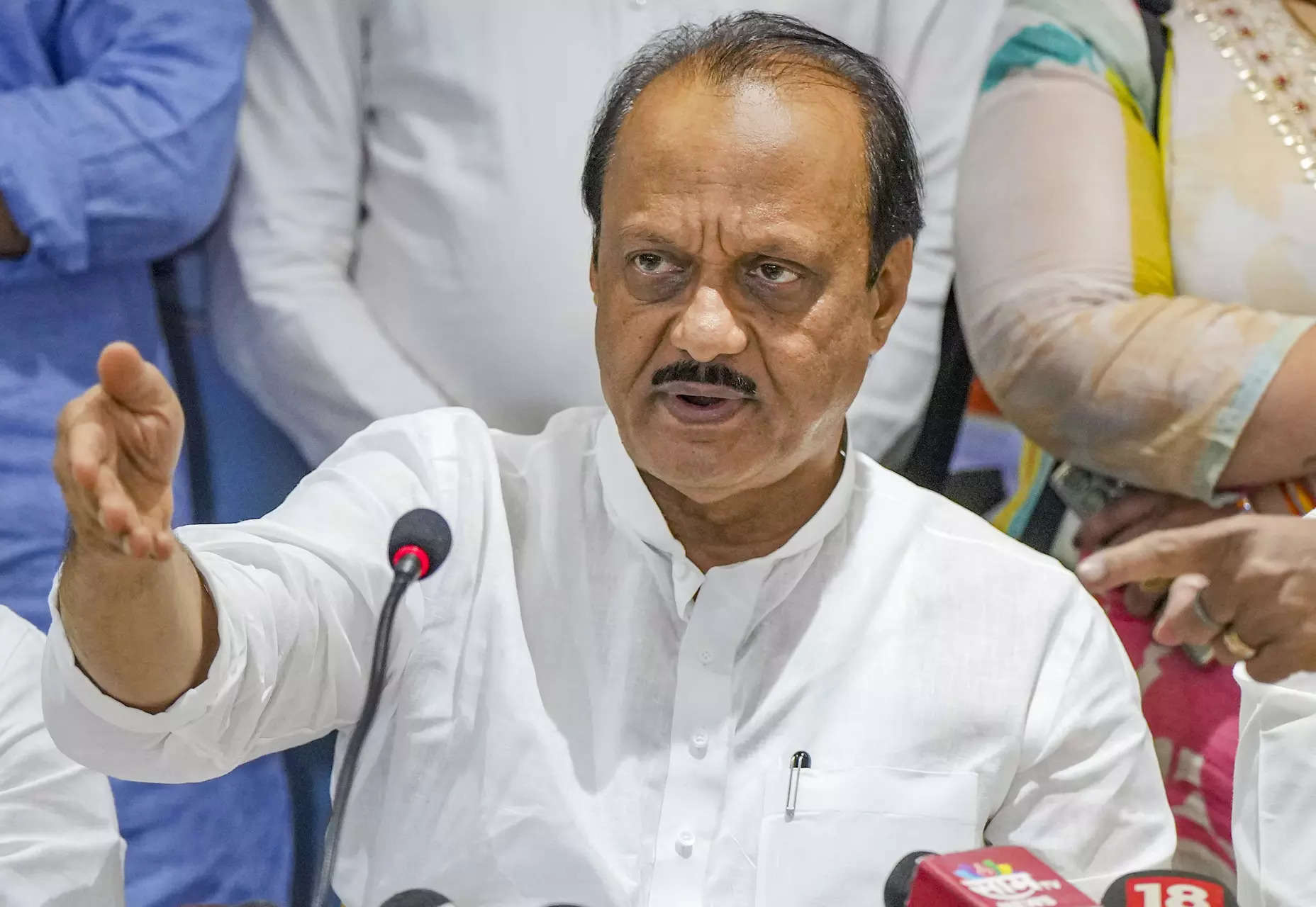 Mahayuti allies free to go solo in elections to local bodies: Ajit Pawar 
