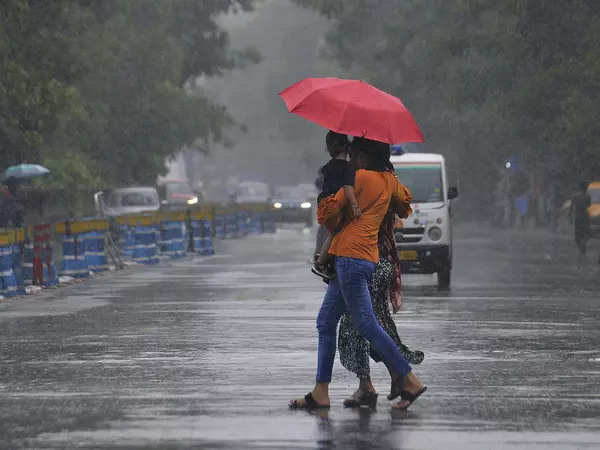 Maharashtra: Amid heavy rainfall prediction, holiday for schools in parts of Vidarbha and Raigad 