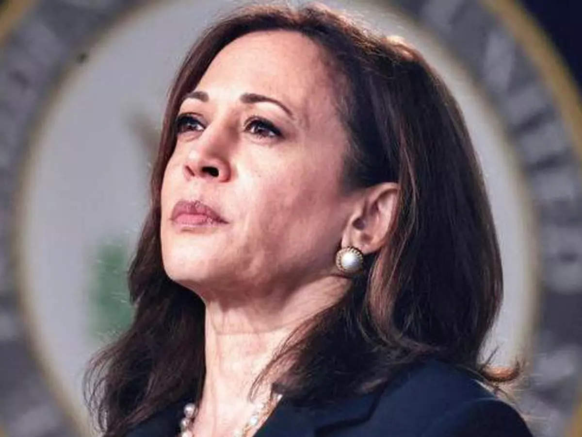 US Presidential Election 2024: Kamala Harris leads the field as Democrats rally behind her 