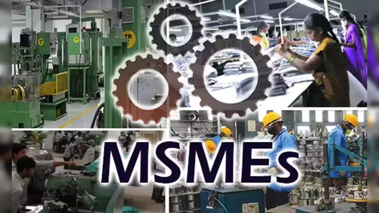 India Budget 2024: Finance Minister Sitharaman extends a helping hand to MSMEs 