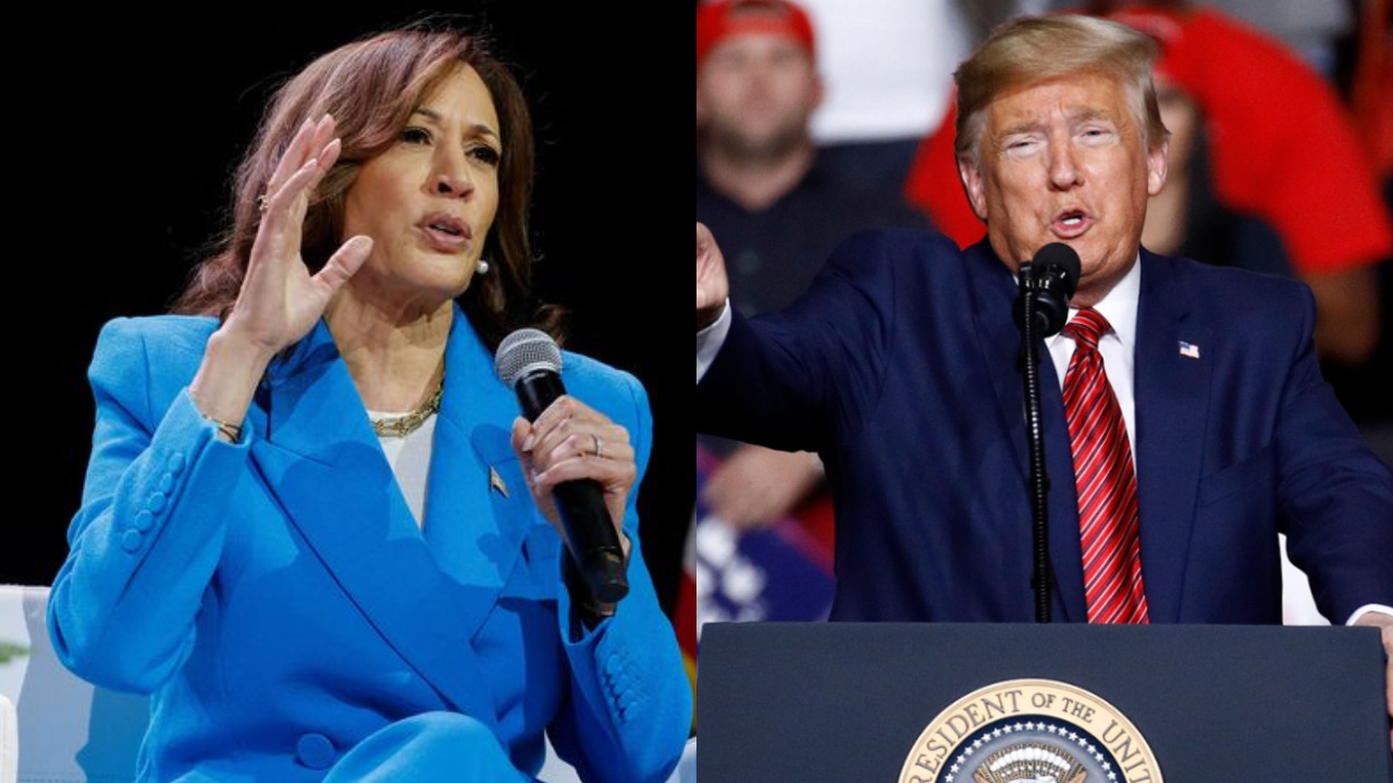 US Presidential Election 2024: Kamala Harris faces opposition; who else may challenge her nomination? 