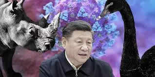 Why did Chinese President Xi Jinping ask to be ready for “black swan” and “gray rhino”? Is Beijing heading toward crisis? 