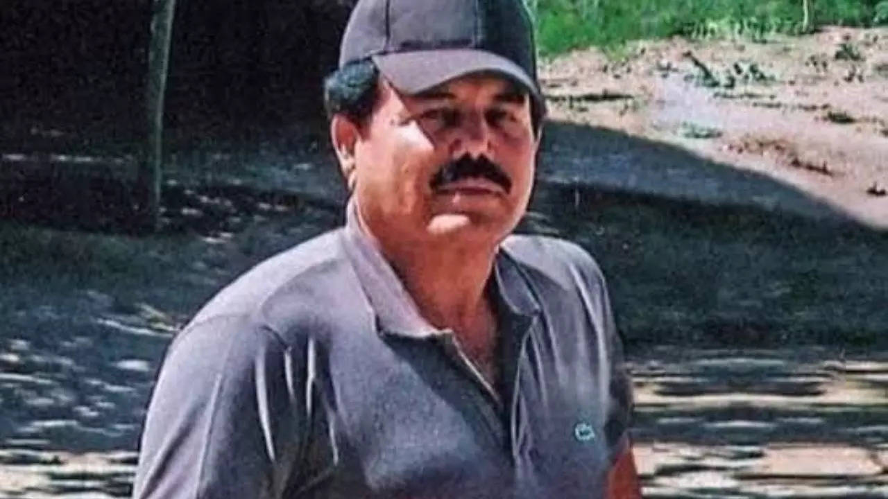 Sinaloa Cartel: Great betrayal! How did El Chapo's son Guzman Lopez lure Ismael 'El Mayo' Zambada? The Inside Story 