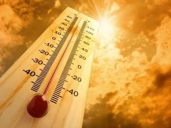 Kashmir records highest July temperatures in 25 years amid heat wave 