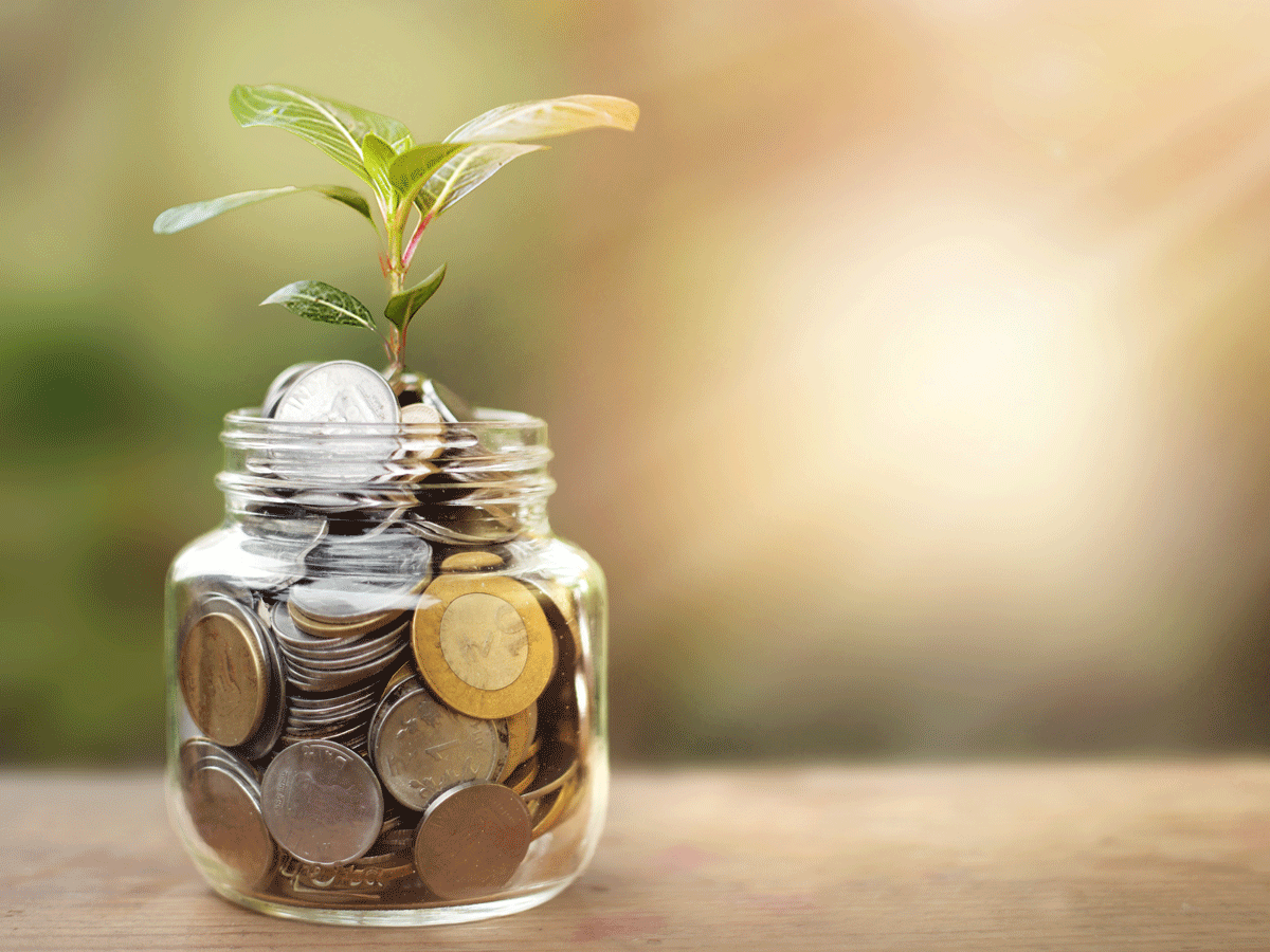 Best medium to long duration funds to invest in July 2024 