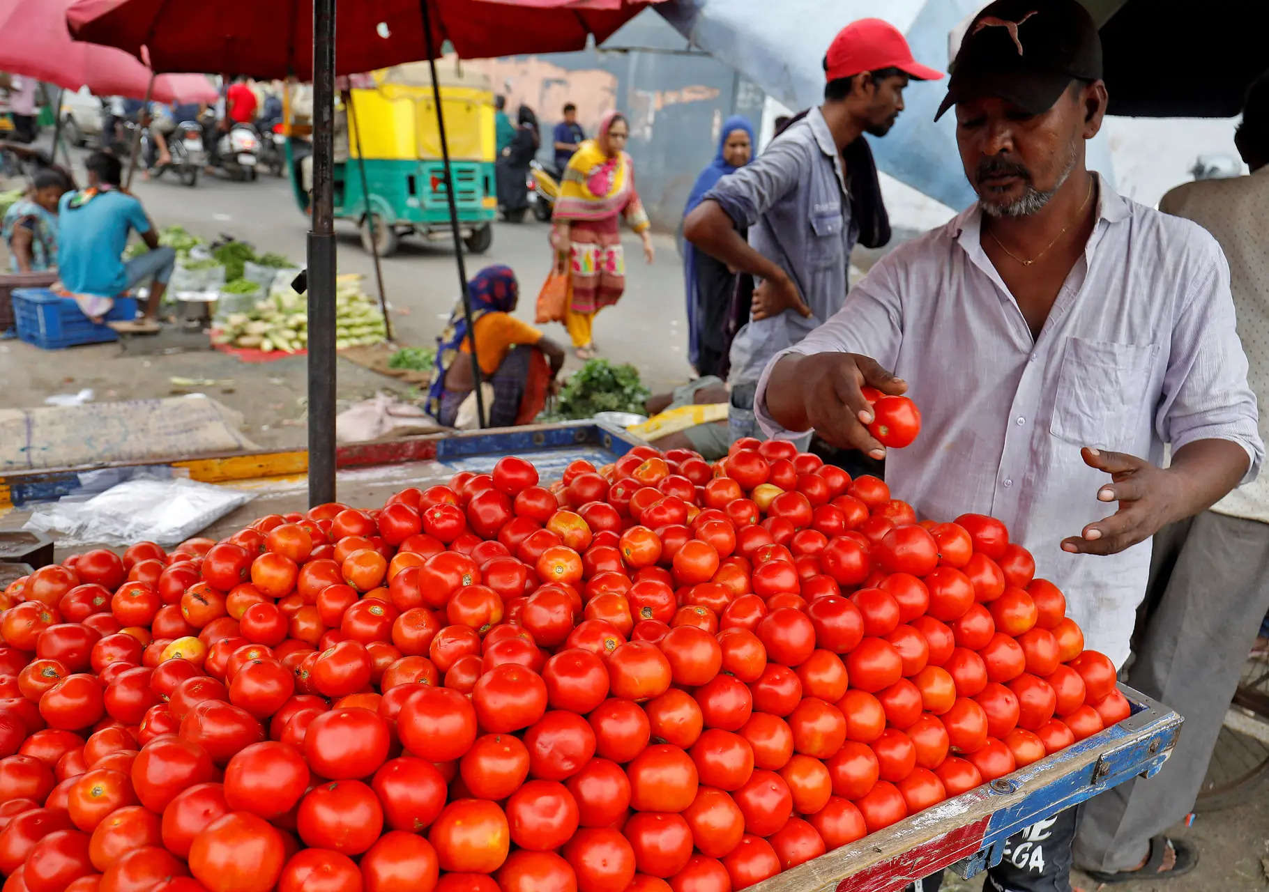 Tomato prices to normalize in 7-10 days, says Consumer Affairs minister Pralhad Joshi 