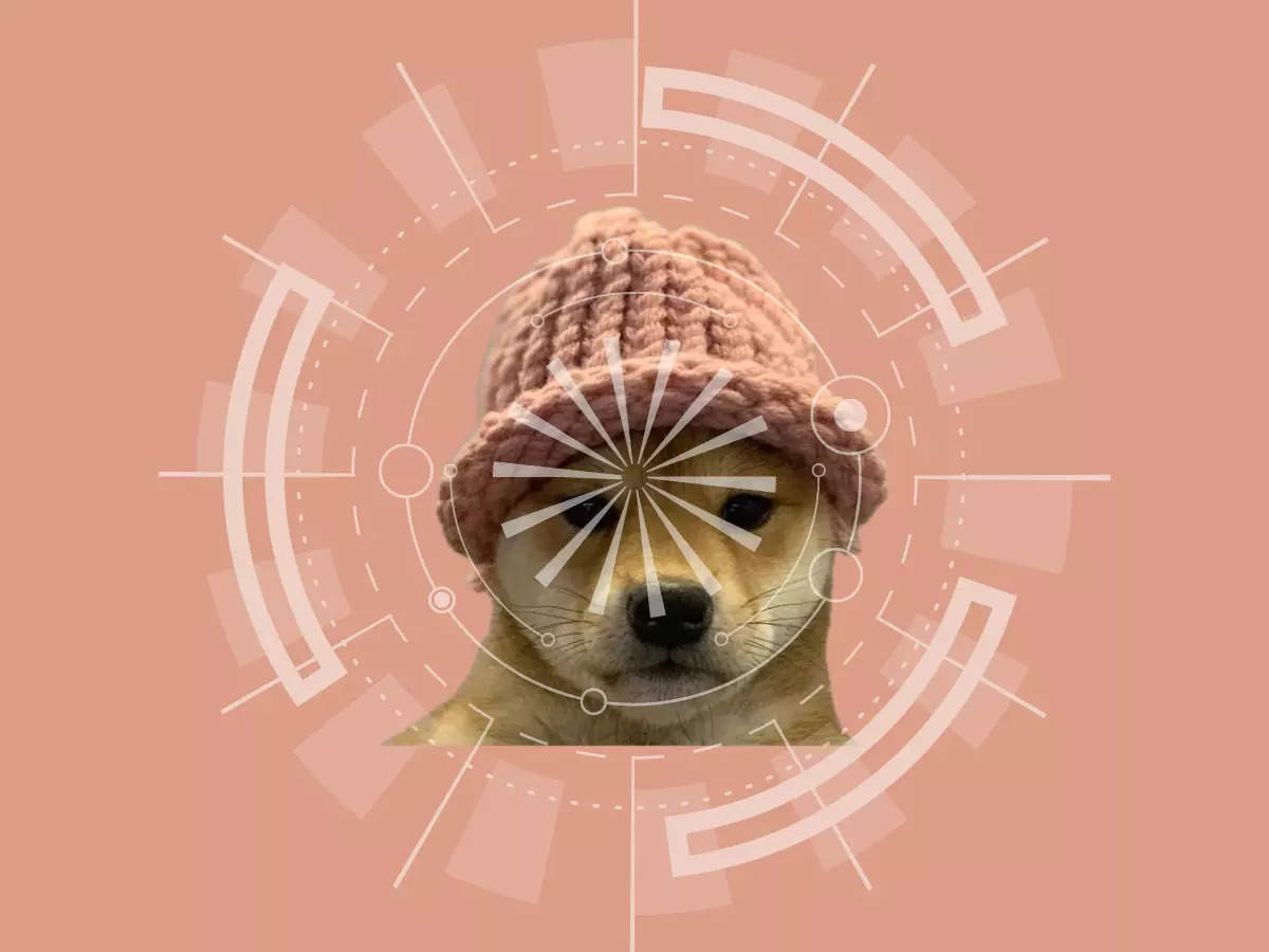 Meme coin Dogwifhat (WIF) price explodes 50%, but what's the next big crypto to buy? 