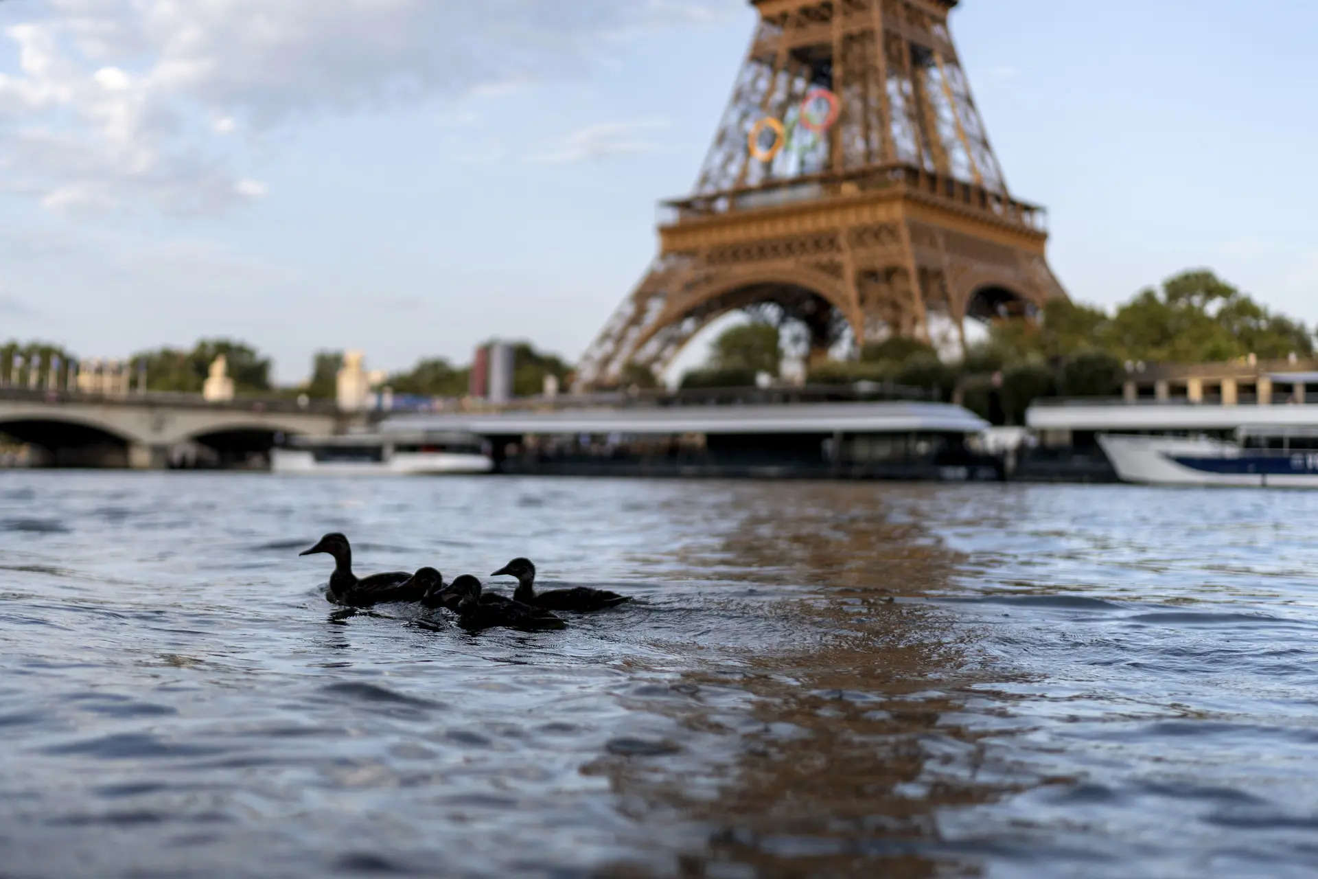 Olympic triathletes will swim in Paris' Seine River after days of concerns about water quality 