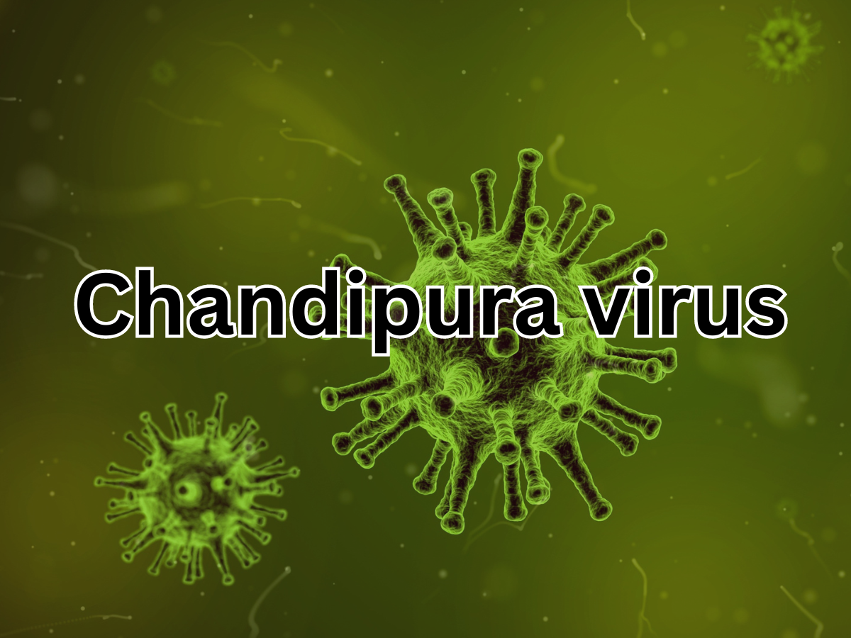 Deadly Chandipura Virus reaches Rajasthan after cases rise to 51 in Gujarat; Here's what you need to know 