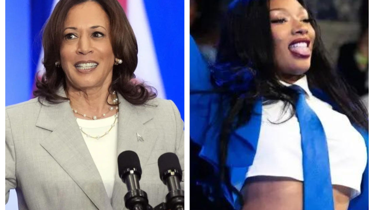 US Presidential Election 2024: Did Megan Thee Stallion’s performance influence Harris’s rally? 