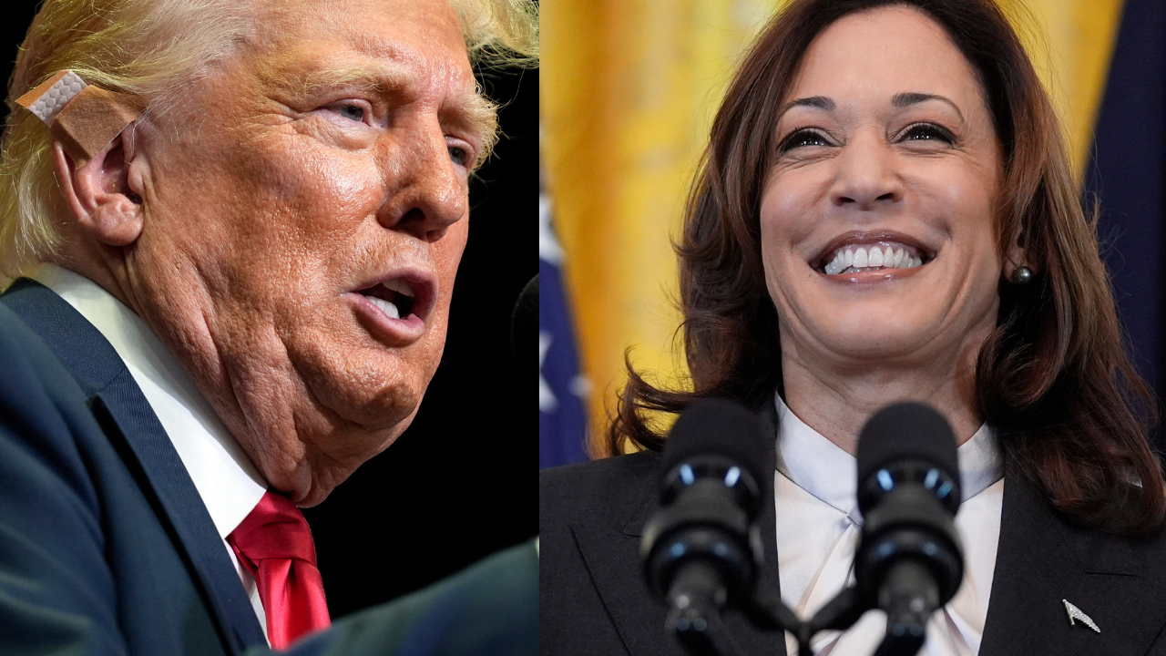 US election 2024 documentary on Donald Trump, Kamala Harris' campaigns is releasing. Check date 
