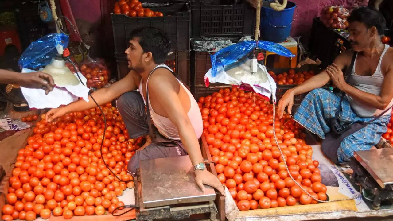 Tomatoes to be sold at Rs 50 per kg: Here is how and where to buy in Delhi-NCR, Mumbai 