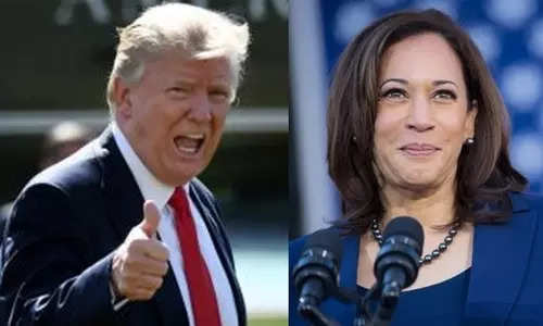 Nate Silver predicts Donald Trump should win US Presidential Election 2024, Kamala Harris may win popular vote. Details here 