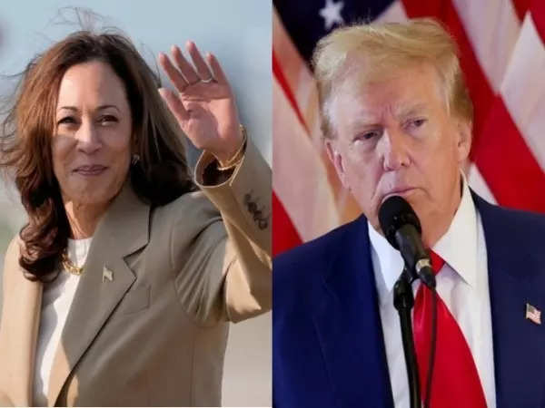 Ex- boyfriend's starling revelations: Kamala Harris received money, from Donald Trump, traveled in his jet 