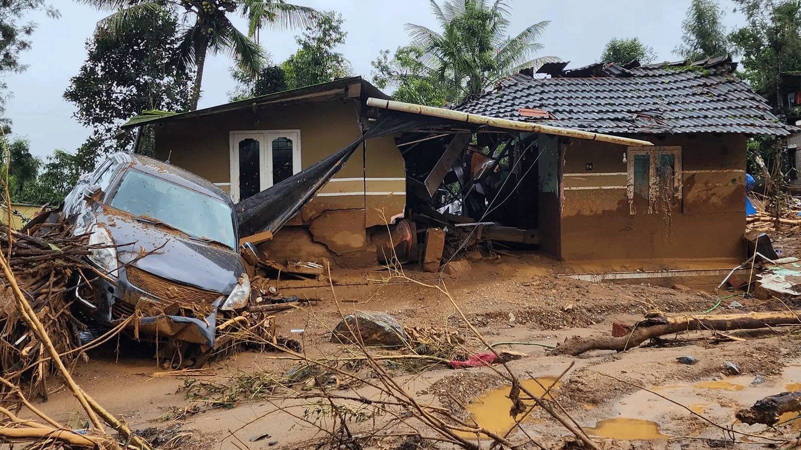 Family miraculously survives Kerala landslide, with a helping hand from elephants 