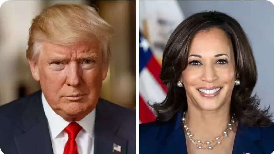 Massive fall: Donald Trump’s net worth plummets by $900m since Kamala Harris' entry 