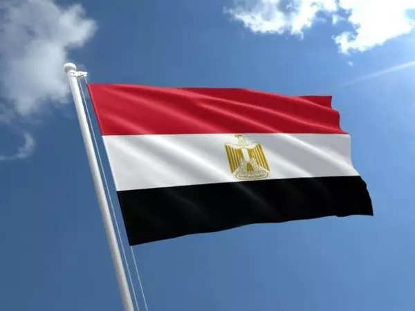 Egypt expresses profound concern over dangerously escalating pace of tensions in the region 