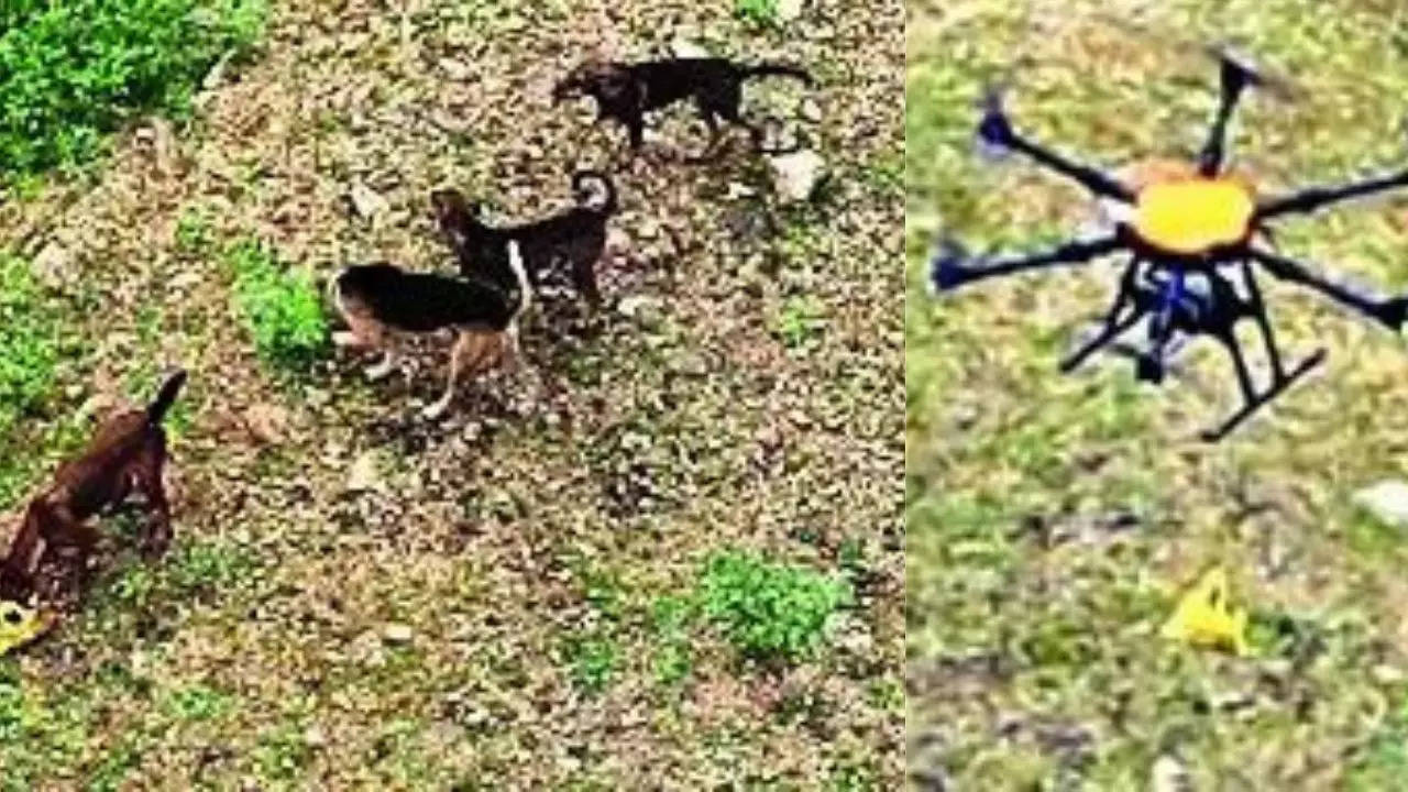 Drones airdrop biryani for dogs stranded in Tamil Nadu. Watch Video 