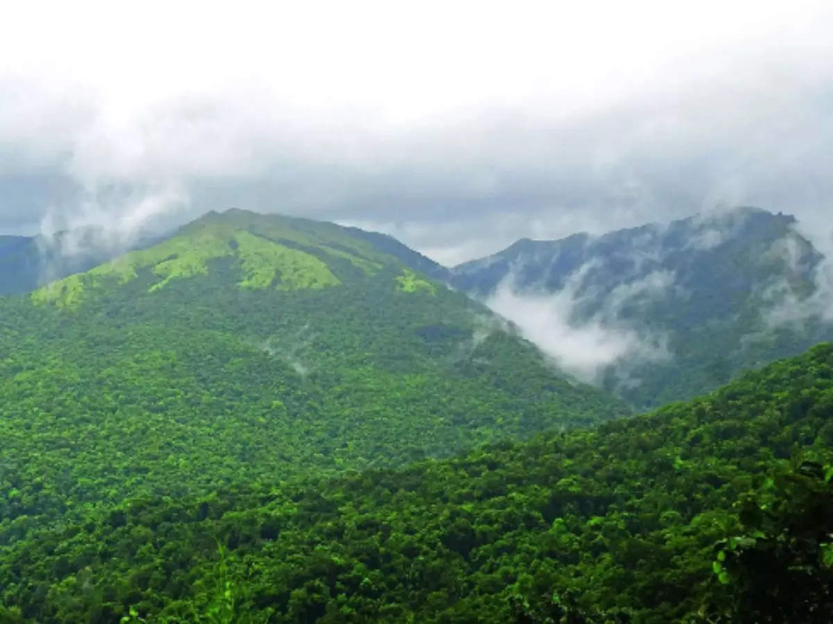 No consensus: Centre considers phased Western Ghats Sensitive Area designation 